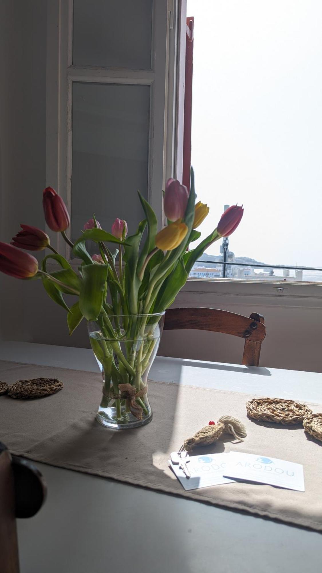 Arodou Studio And Apartment Mykonos Town Εξωτερικό φωτογραφία