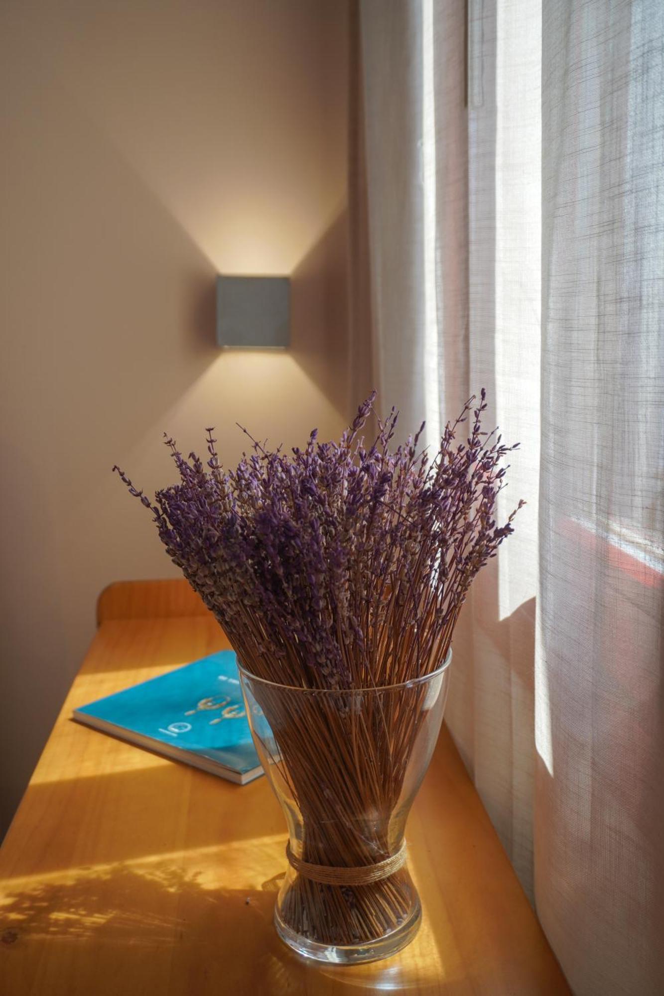 Arodou Studio And Apartment Mykonos Town Εξωτερικό φωτογραφία